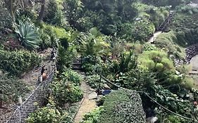 Pacific Paradise Cottage